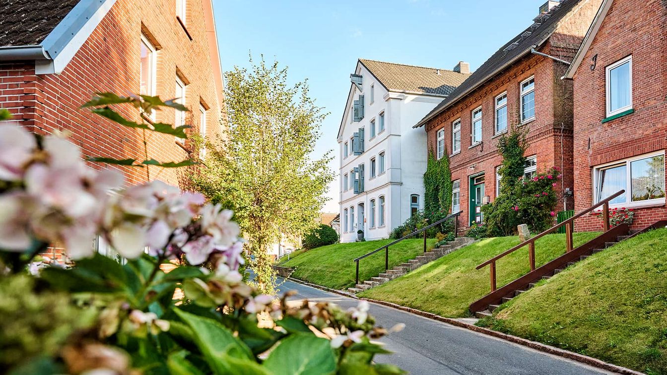 Historische Häuser auf dem Ostedeich